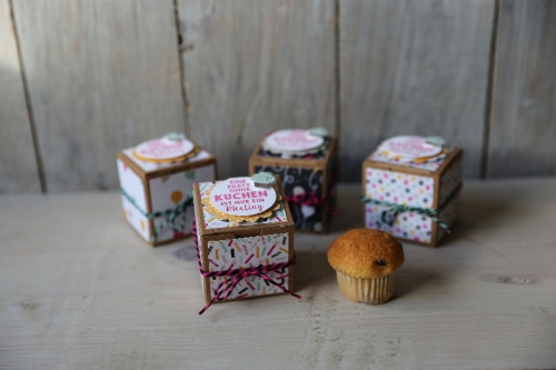 Mini-Geschenkschachteln mit Muffin, Bild1, gebastelt mit Produkten von Stampin\' Up!