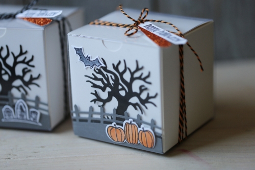 Halloweenbox Spooky Fun, gebastelt mit Produkten von Stampin\' Up!