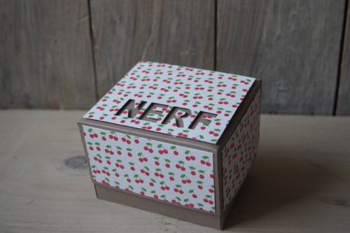 Nerf-Verpackung für Mädchen, Bild1, gebastelt mit Produkten von Stampin\' Up!